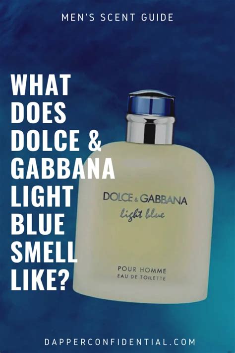 dolce gabbana light blue smell.